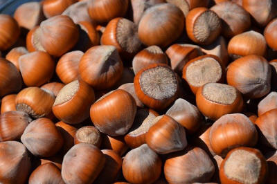 produktion og distribution af planteskolematerialer Polen