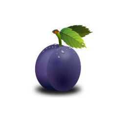 śliwa